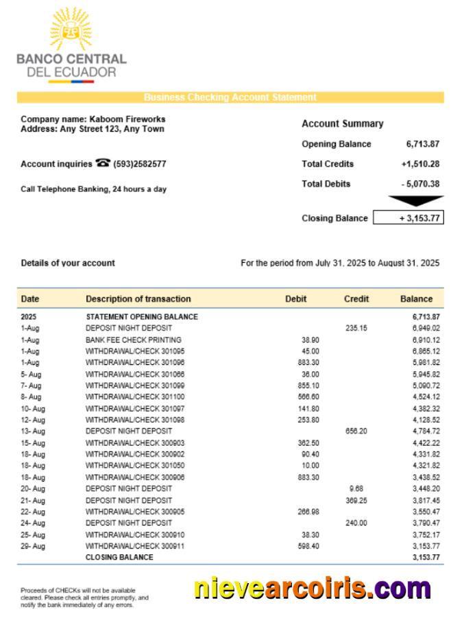 Central Bank of Ecuadorian organization checking account statement